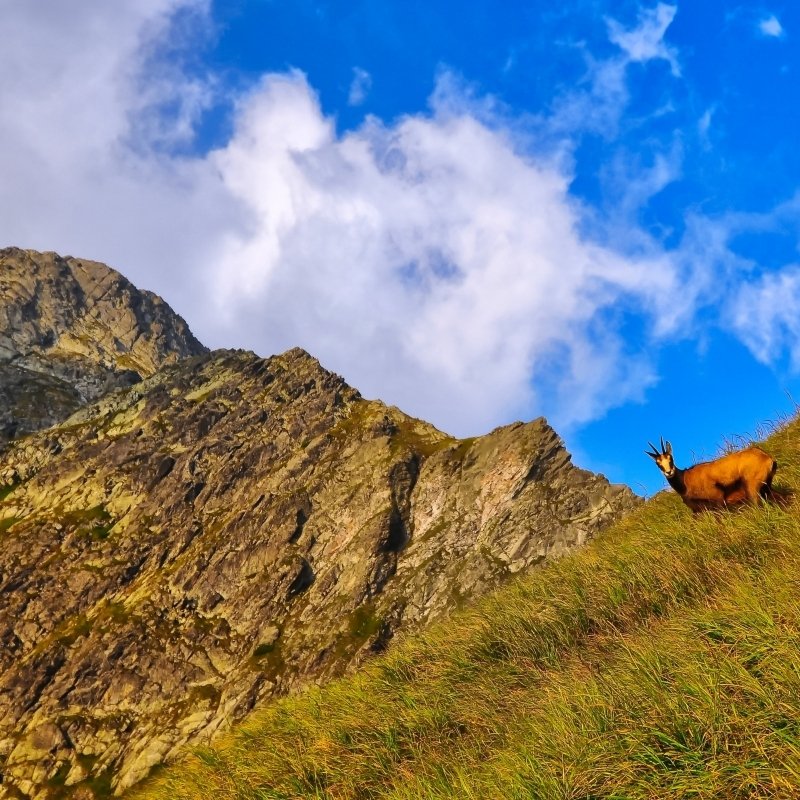 <p>Frühlingswochenende in der Tatra</p>