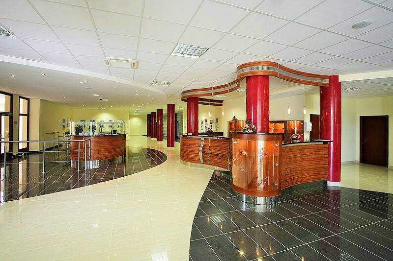 Hotel Wellness Patince ****