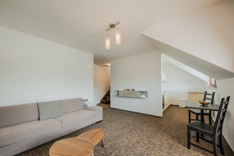 Apartment Iňuščak