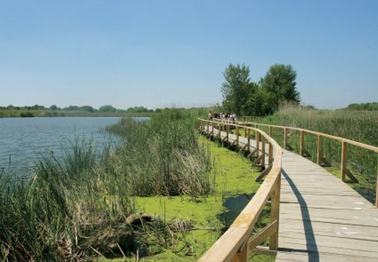 Balneo Hotel Zsori Thermal & Wellness ****