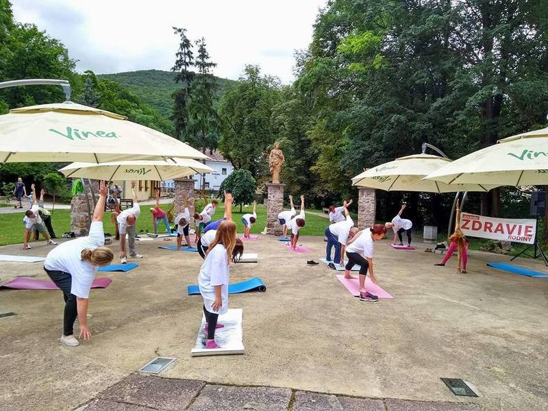 Pension Kurhaus Alžbeta 