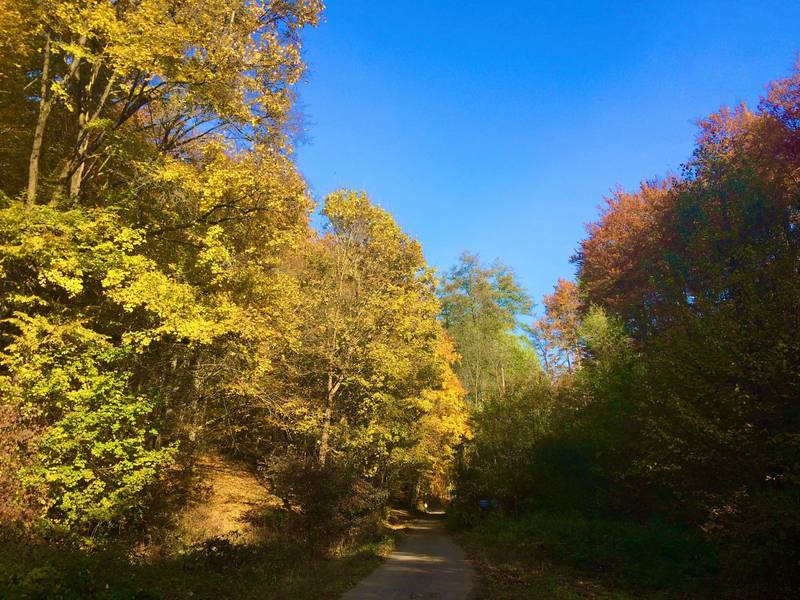 Pension Kurhaus Alžbeta 