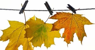 Herbstentaufenthalt