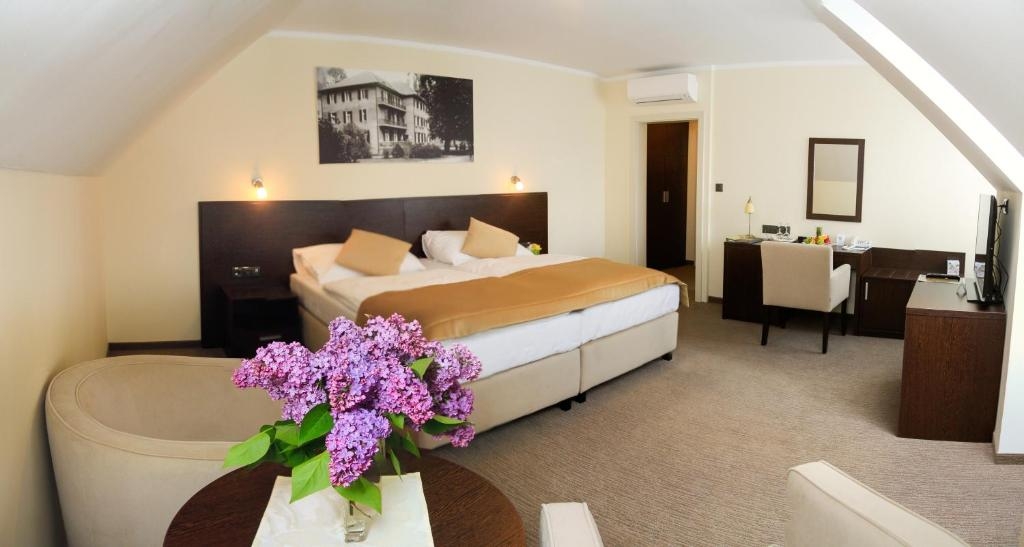 Pro Patria Ensana Health Spa Hotel **