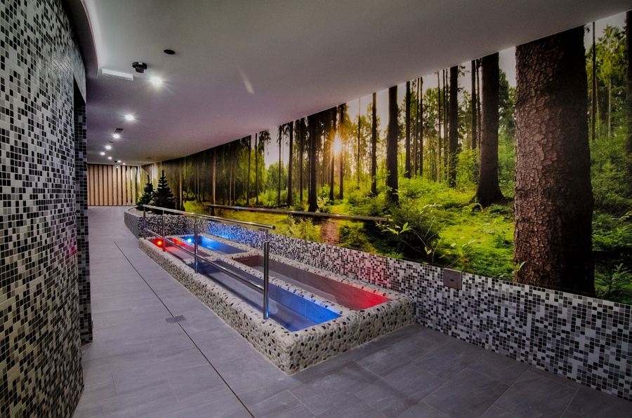 Silvester Wellness