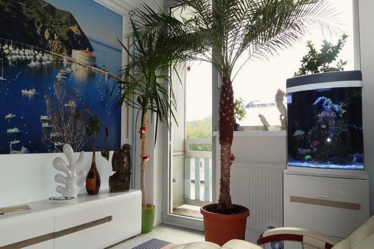 Seniorenaufenthalt 2026