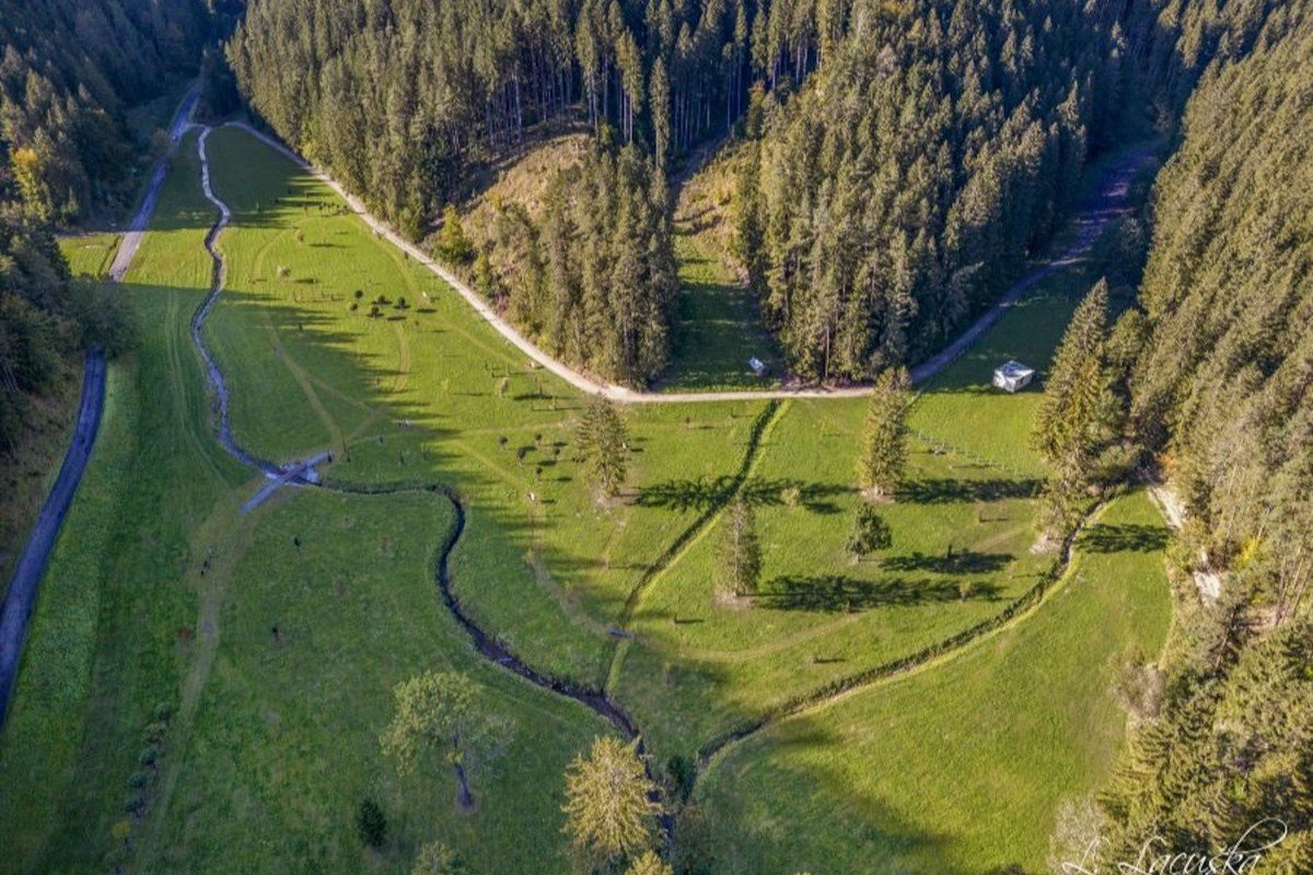 Abhängigkeit Kyrill ***