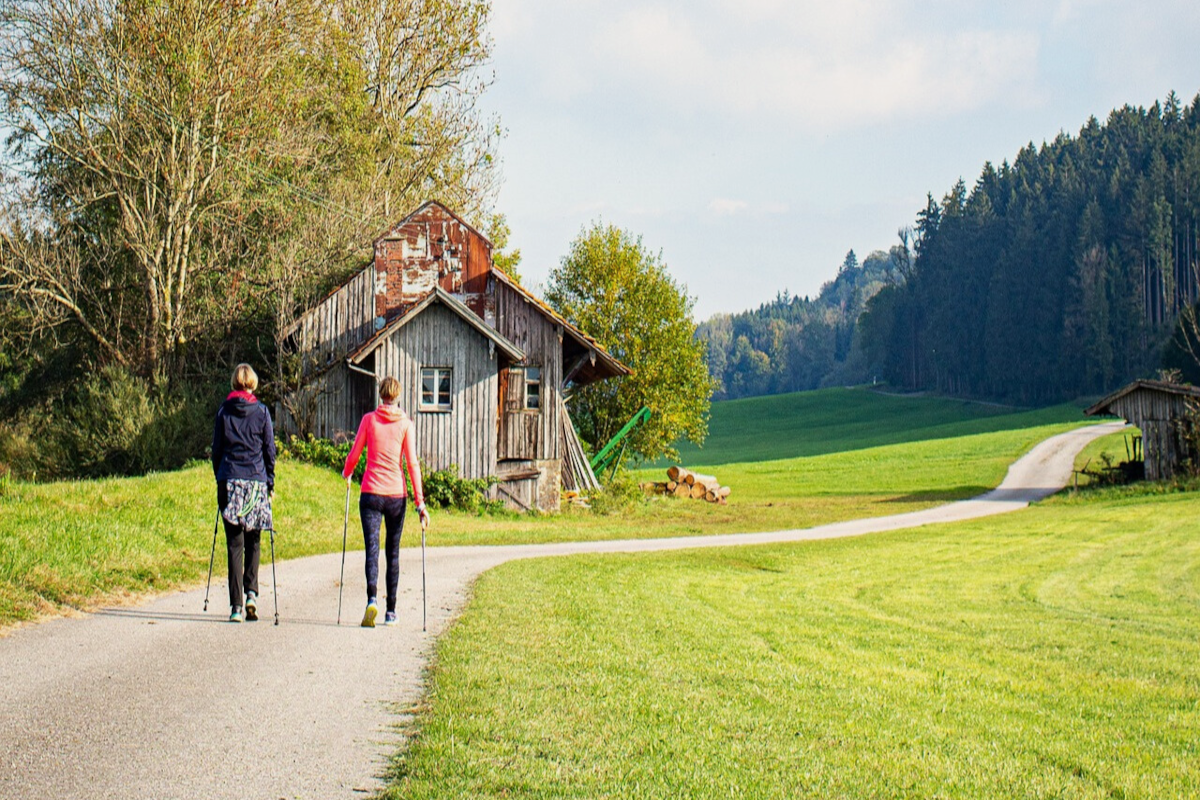 Dependance Horec ***