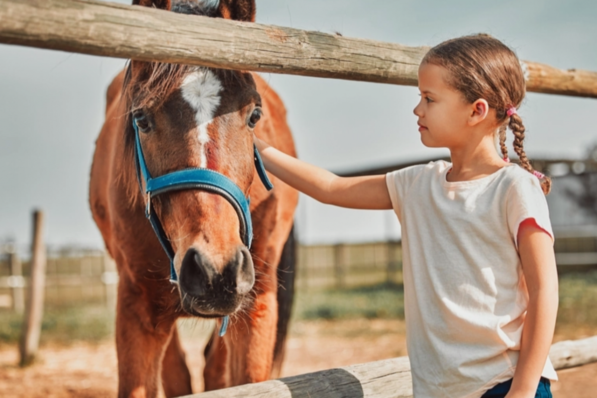 Dependance Horec ***