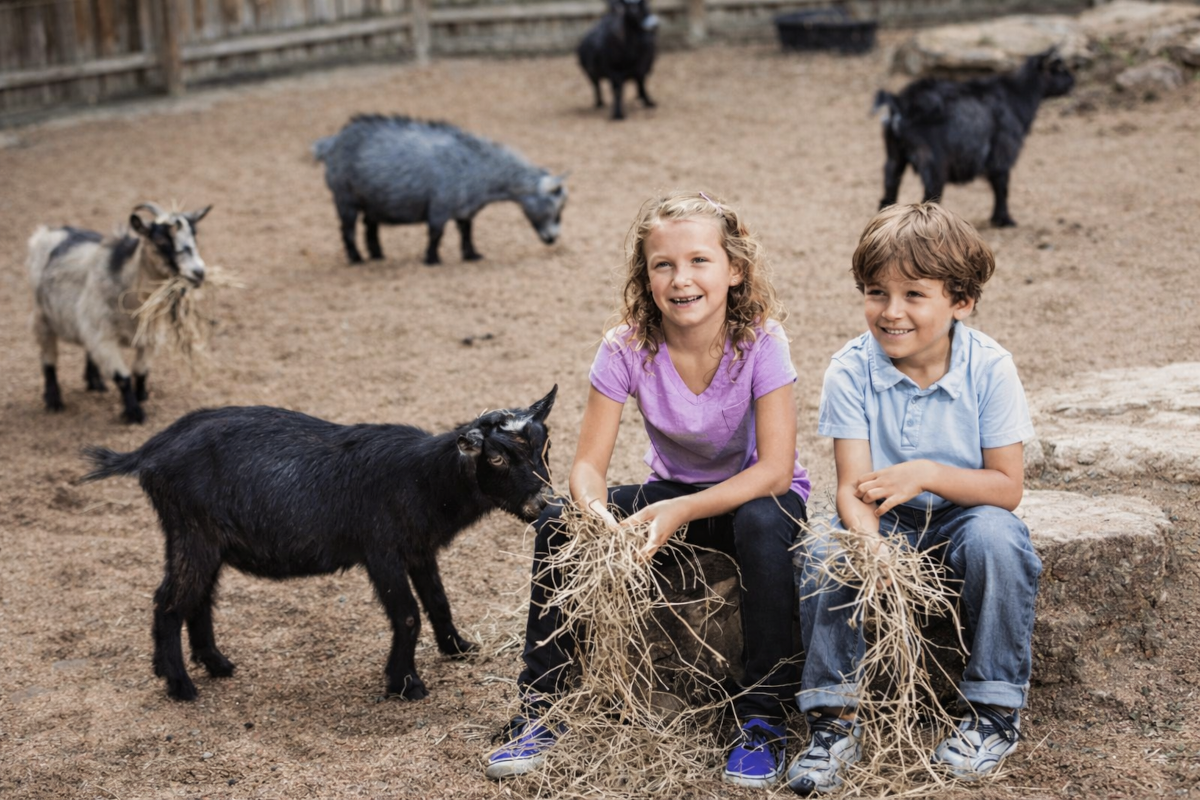 Wellnessaufenthalt + ZOO