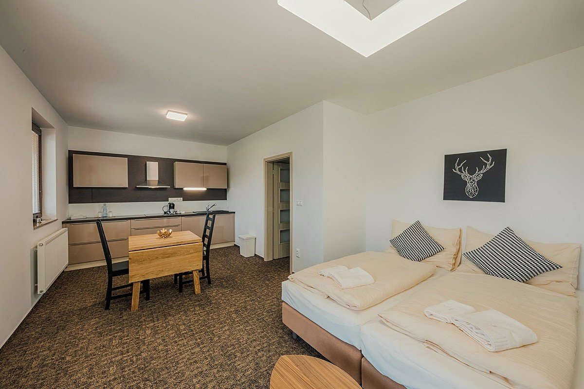 Apartment Iňuščak