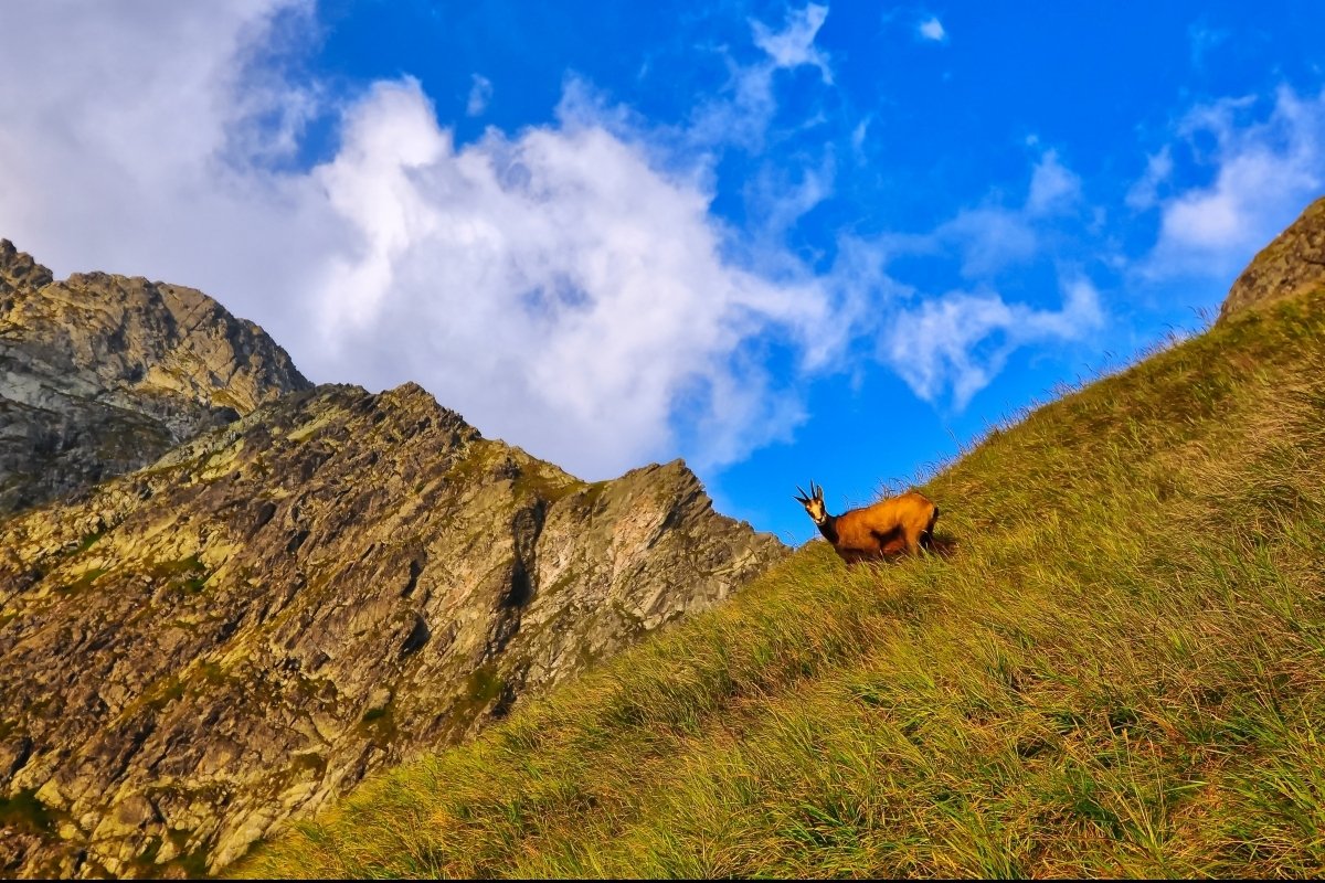 <p>Frühlingswochenende in der Tatra</p>
