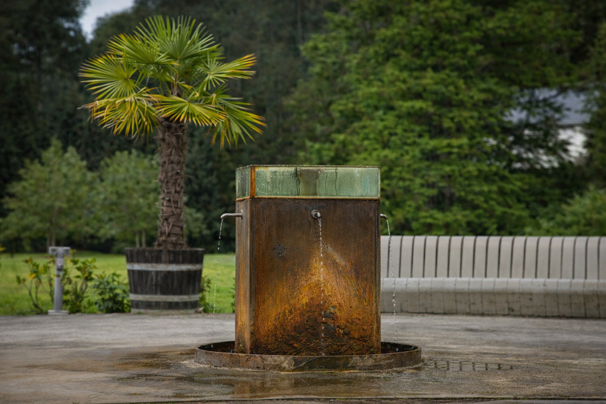 Luhačovicka Vincentka ist Gold für die zelluläre Immunität