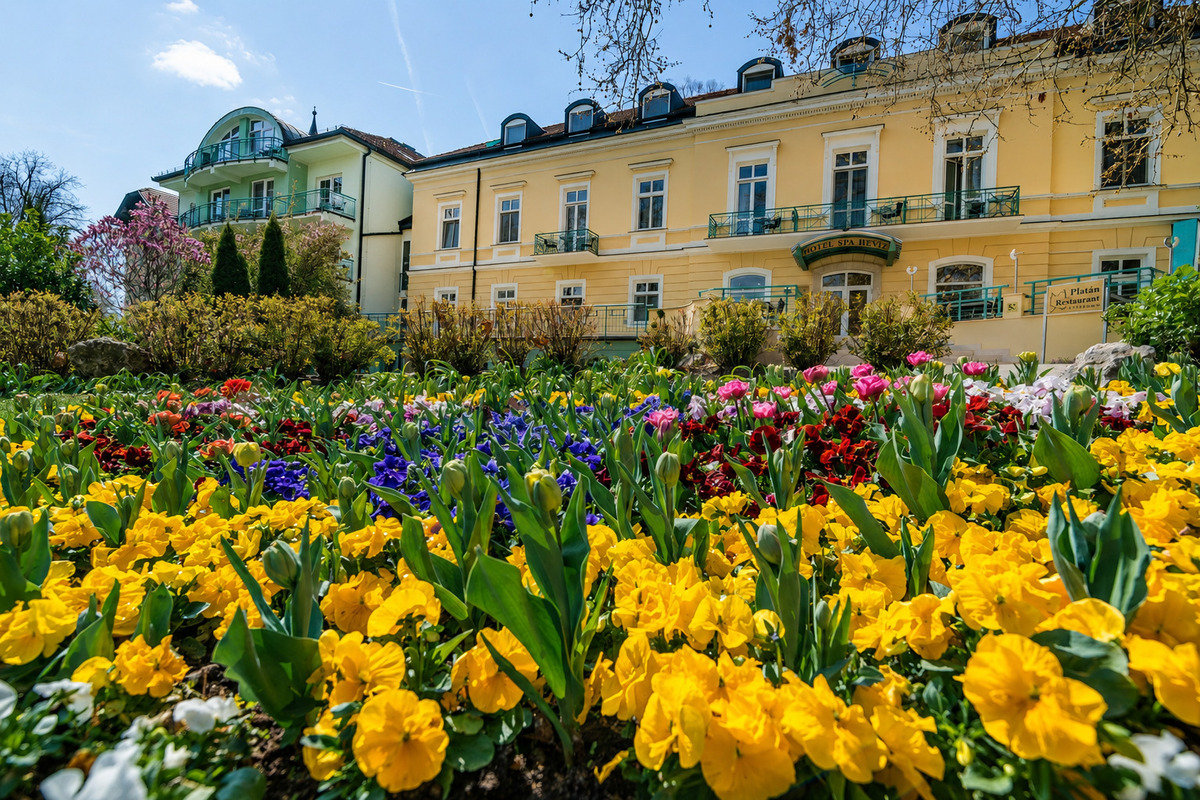 Hotel Spa Hévíz  ****