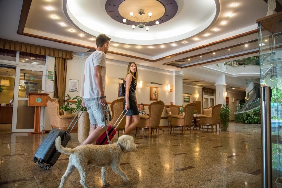 Palace Hotel ****