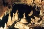 Höhle der Toten Fledermäusen