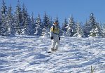 Ski Park Erika - Kojsovska hola